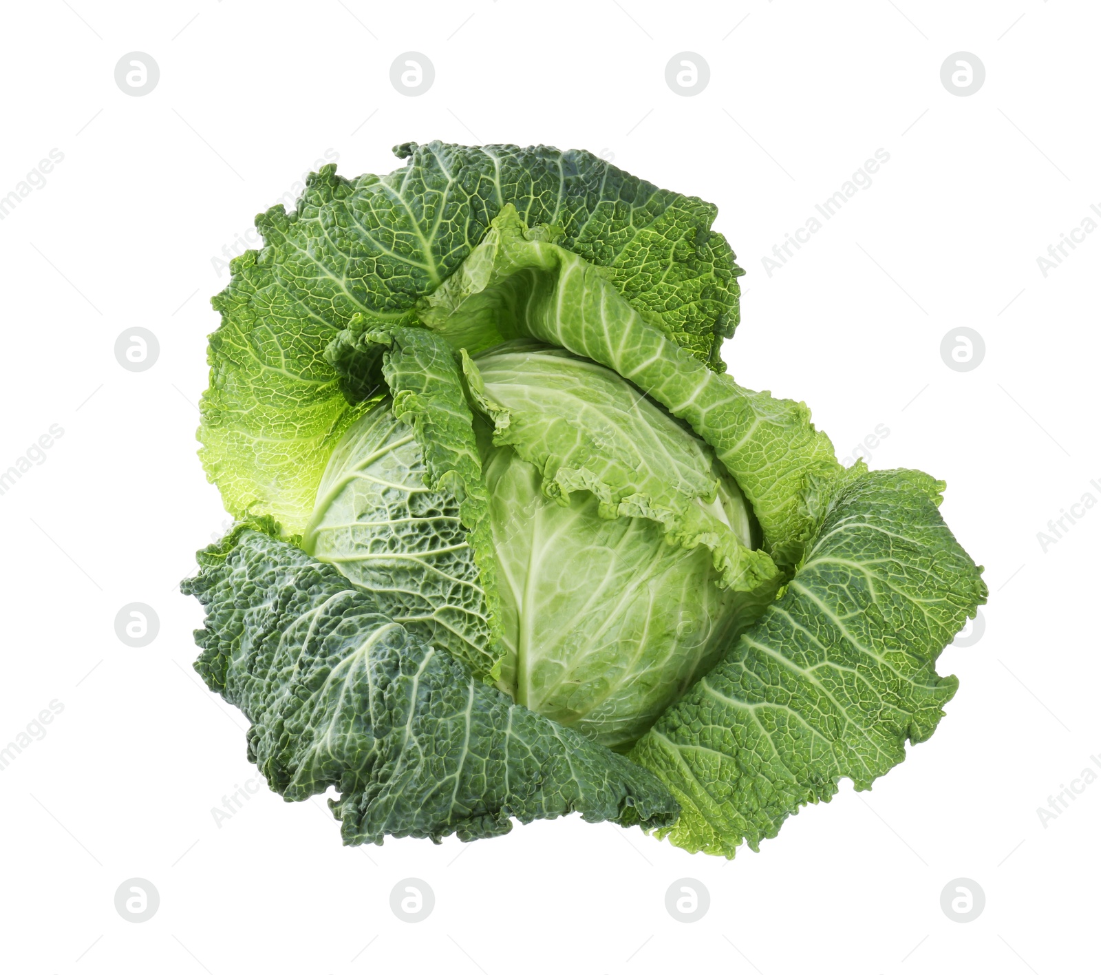 Photo of One fresh Savoy cabbage isolated on white, above view