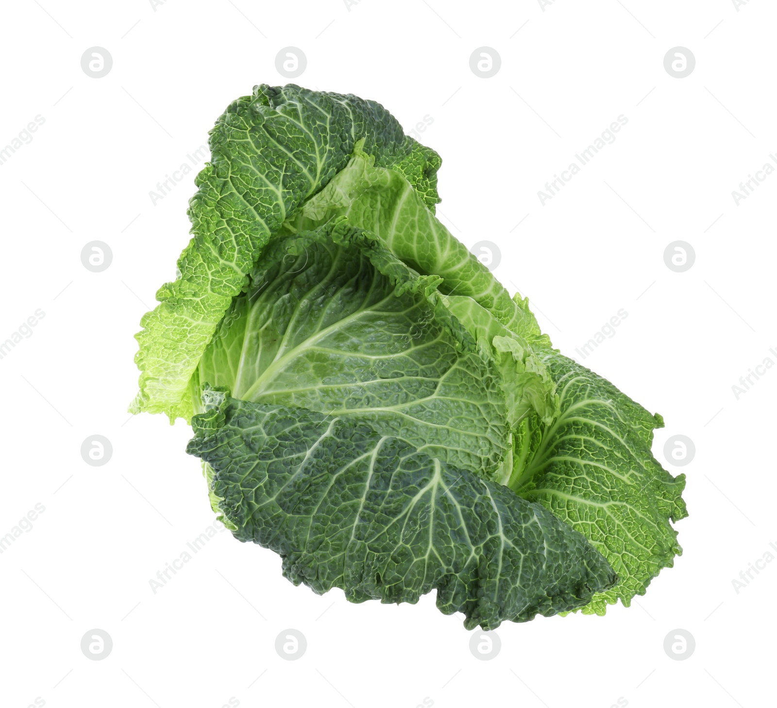 Photo of One fresh Savoy cabbage isolated on white