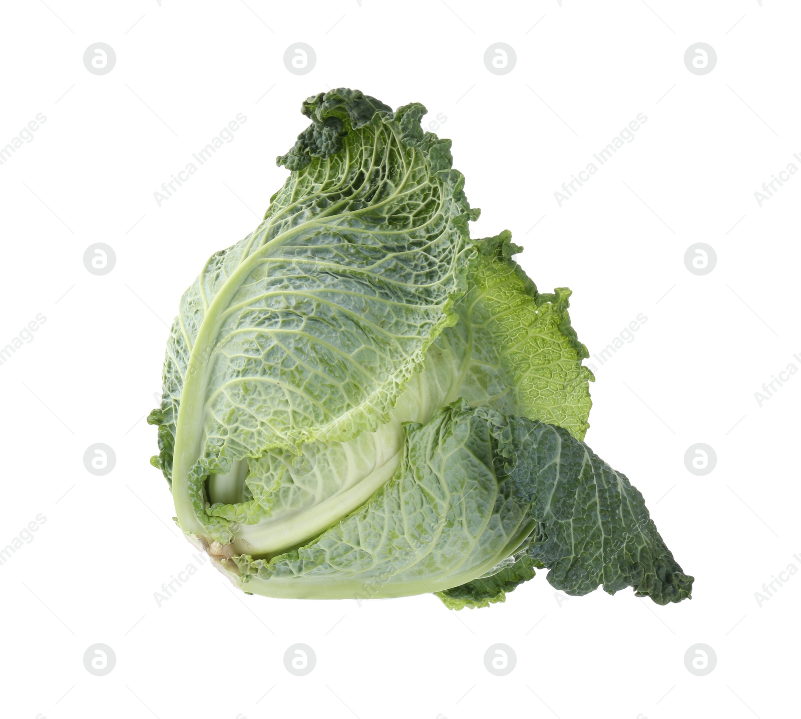Photo of One fresh Savoy cabbage isolated on white