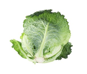 Photo of One fresh Savoy cabbage isolated on white
