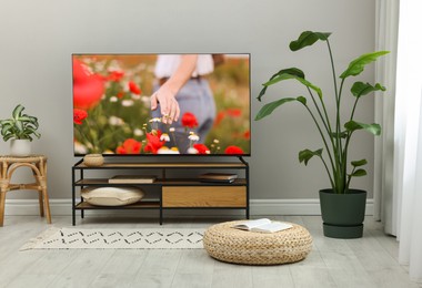 Image of TV set on console in room. Woman walking among flowers on screen