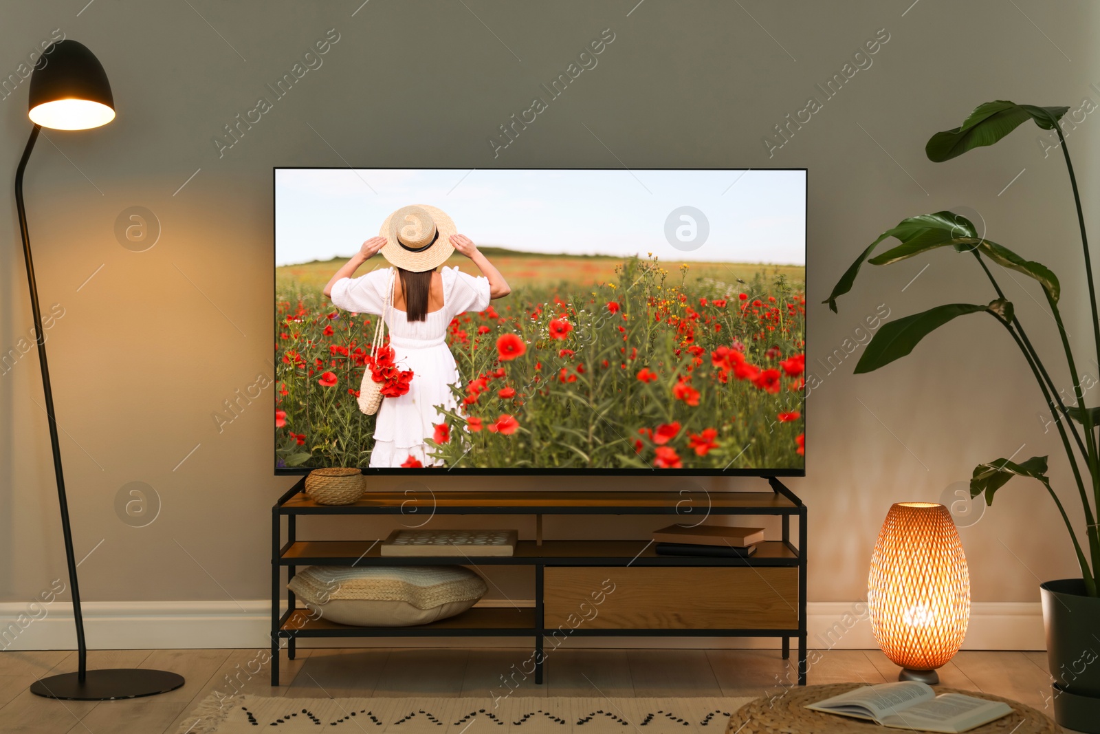 Image of TV set on console in room. Woman walking among flowers on screen