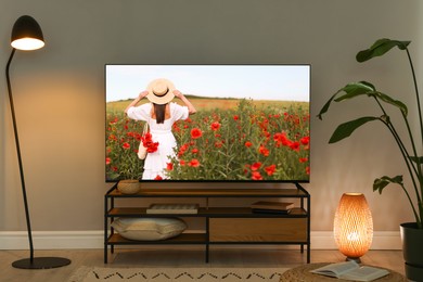 Image of TV set on console in room. Woman walking among flowers on screen