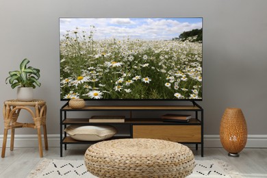 Image of TV set on console in room. Flower field on screen