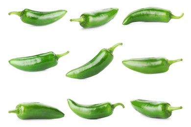 Image of Fresh green jalapeno peppers isolated on white, set