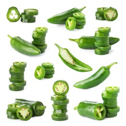 Image of Fresh green jalapeno peppers isolated on white, set