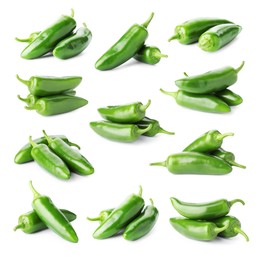 Image of Fresh green jalapeno peppers isolated on white, set