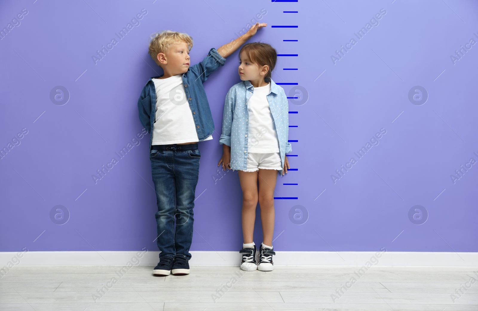 Image of Cute little girl and boy measuring their heights near violet wall with scale