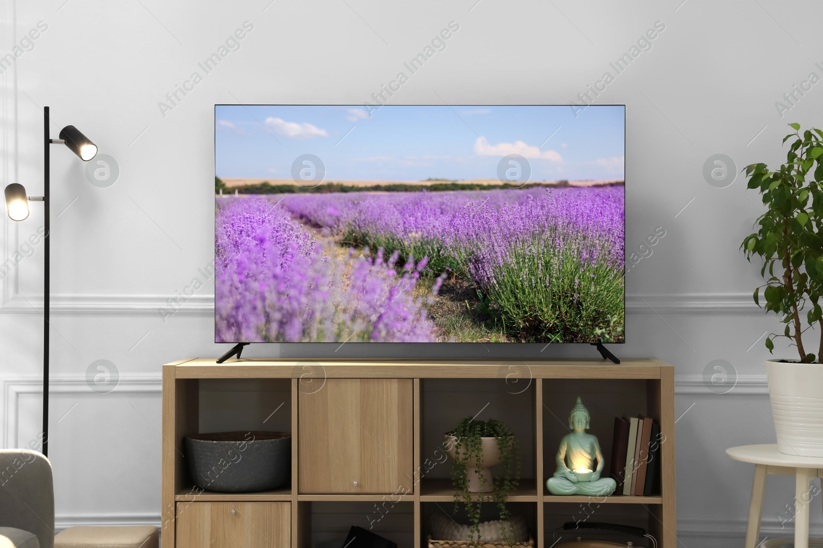 Image of TV set on console in room. Lavender field on screen