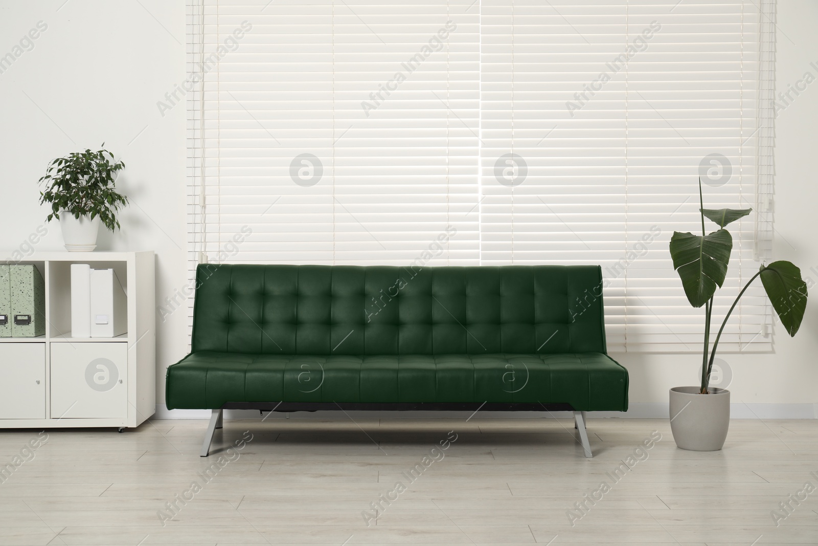 Living room with dark green sofa and houseplants. Interior design Image of Living room with dark green sofa and houseplants. Interior design