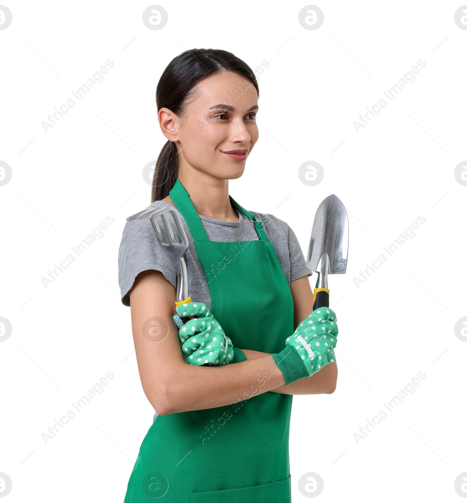 Photo of Portrait of gardener in apron with tools on white background