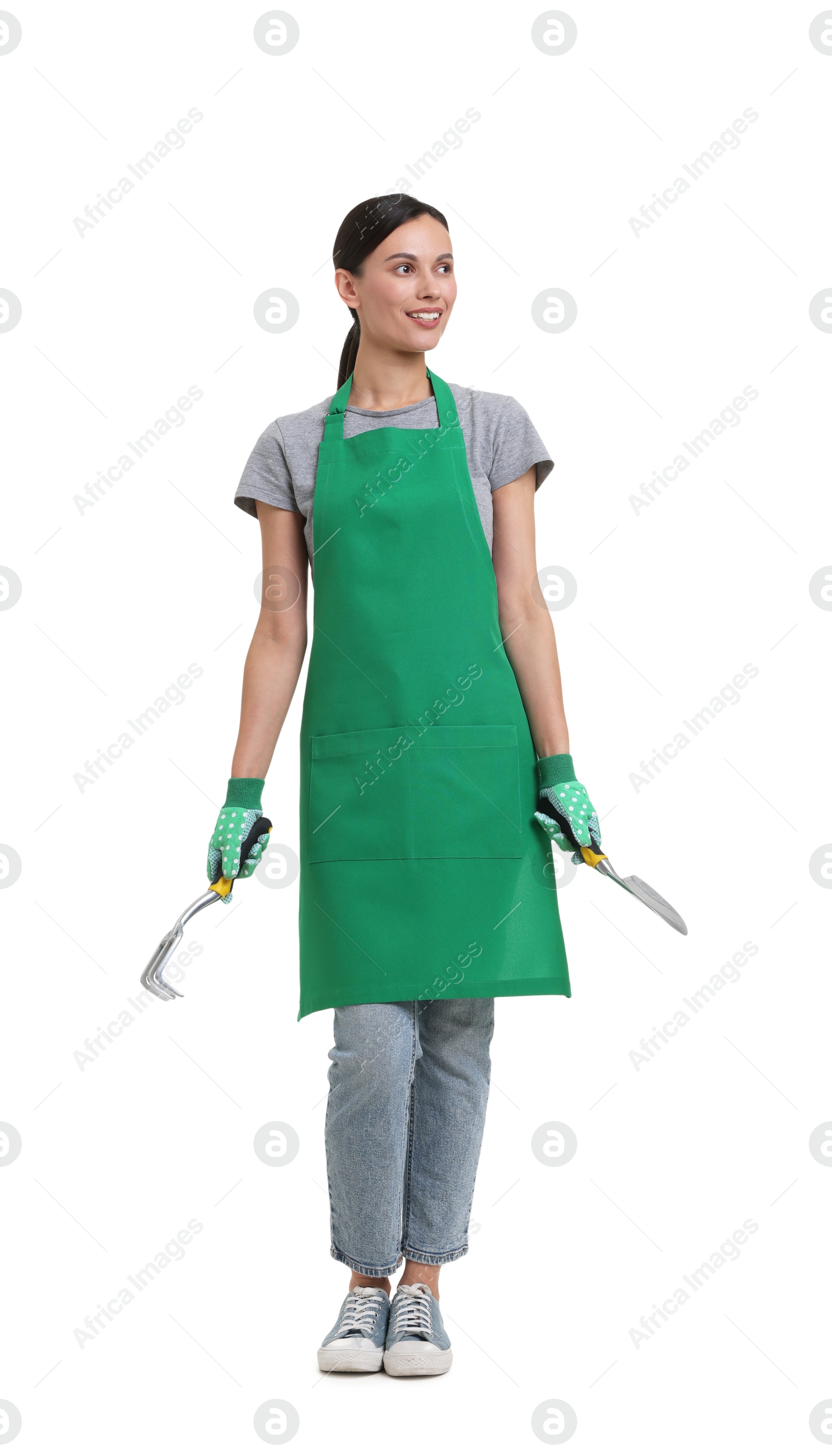 Photo of Gardener in apron with tools on white background
