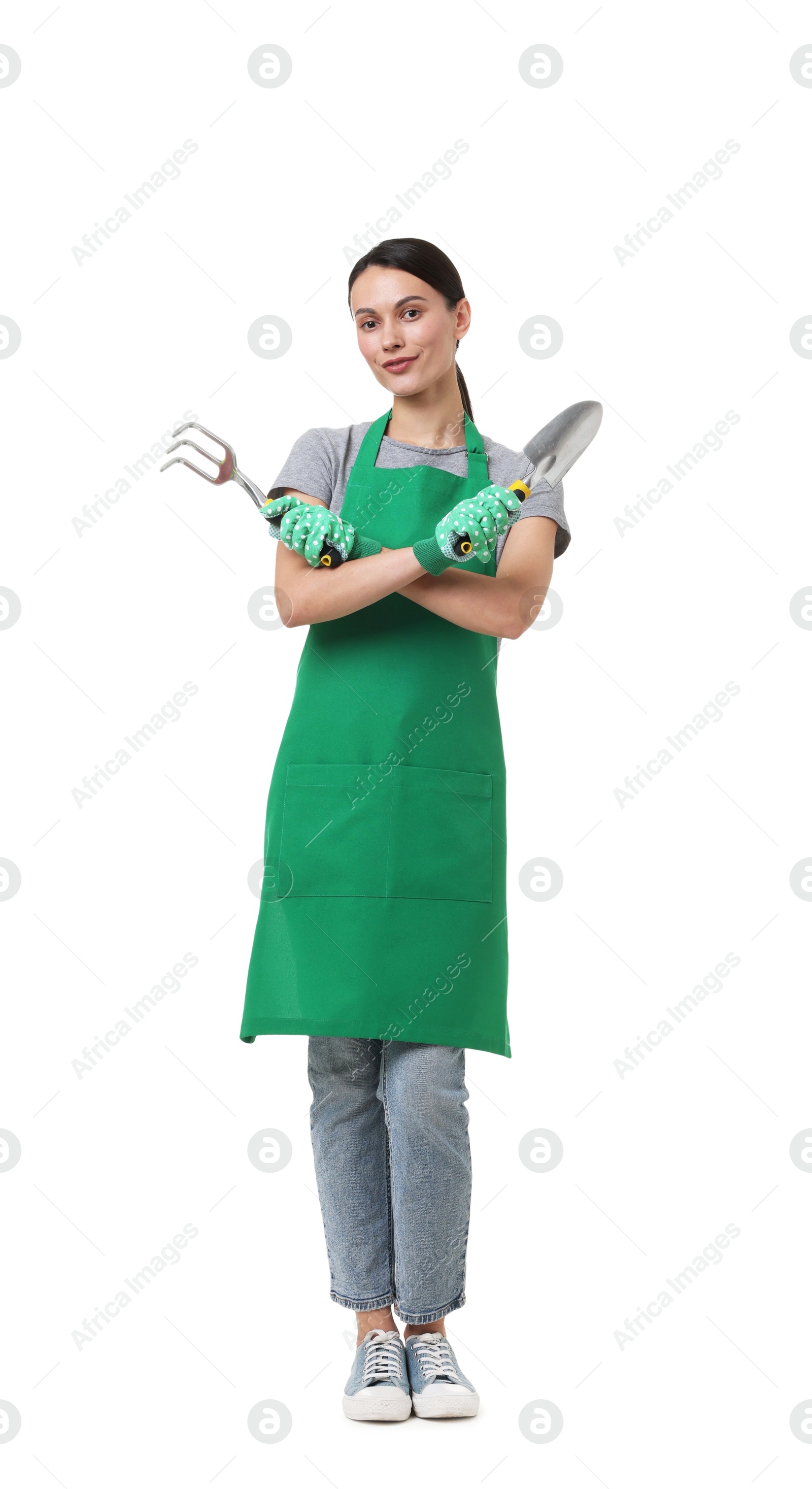 Photo of Gardener in apron with tools on white background