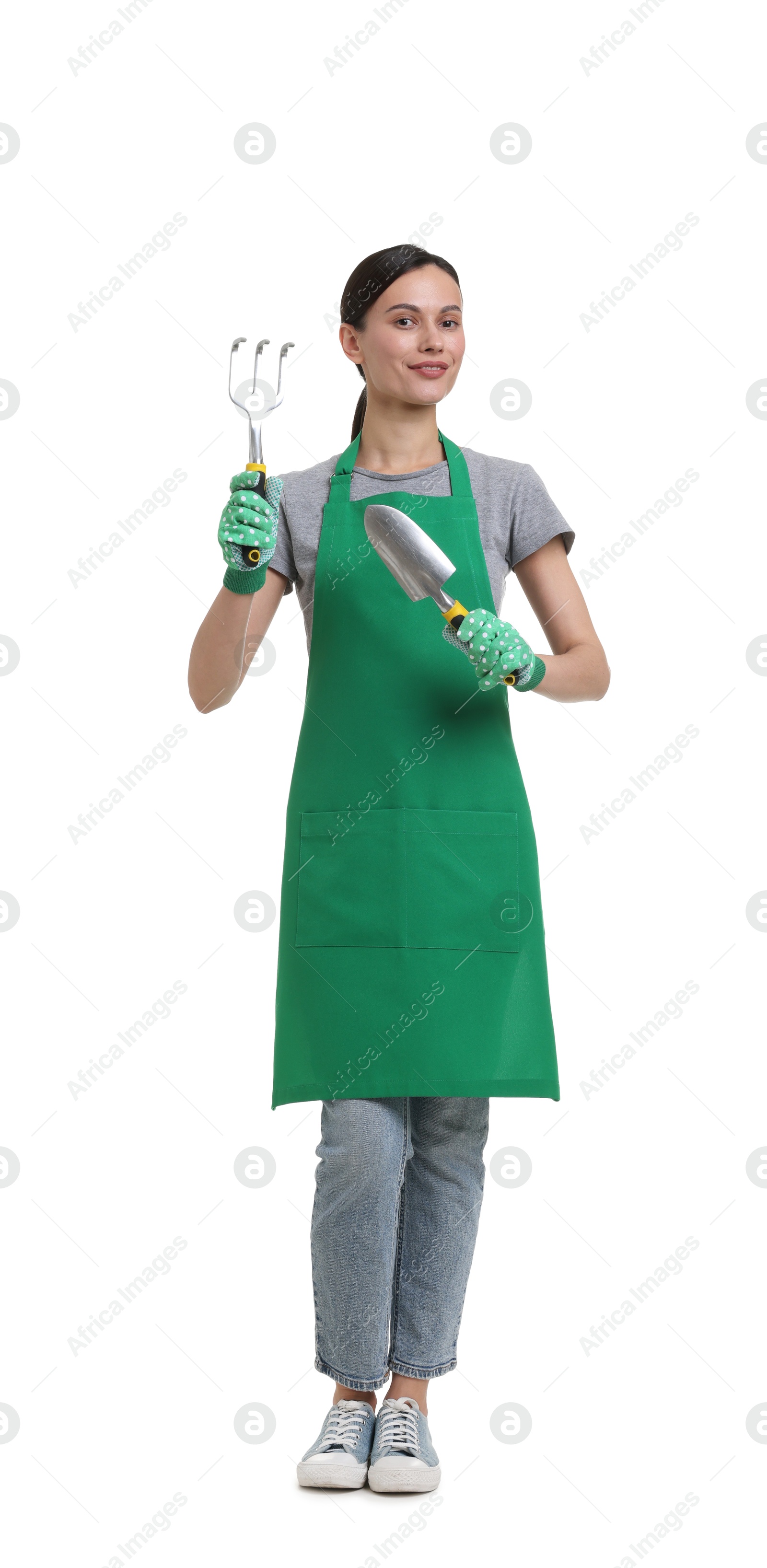 Photo of Gardener in apron with tools on white background