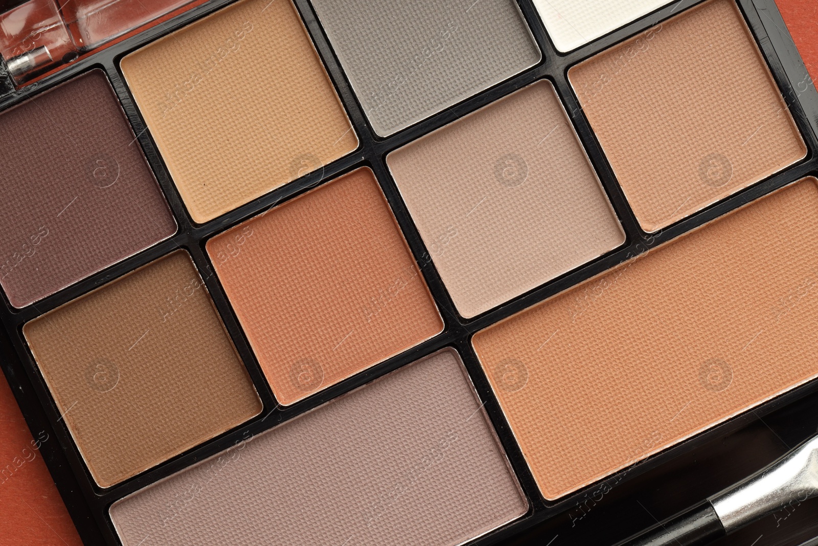Beautiful eyeshadow palette on coral background, top view Photo of Beautiful eyeshadow palette on coral background, top view