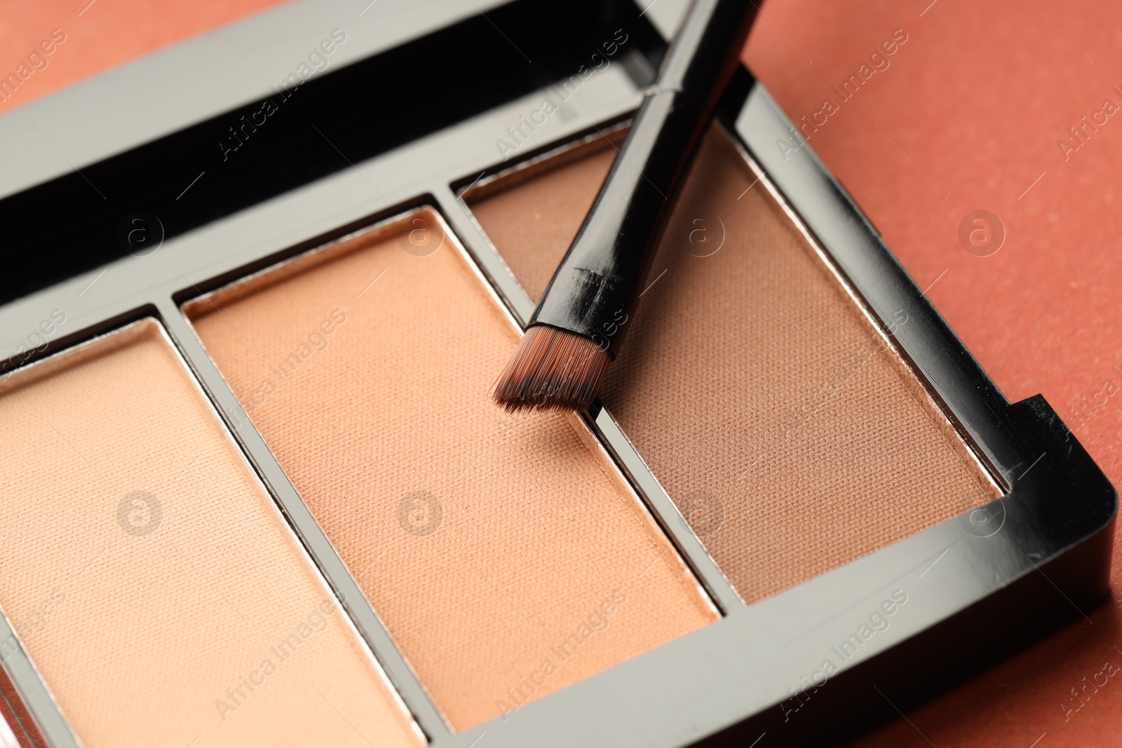 Beautiful eyeshadow palette and brush on coral background, closeup Photo of Beautiful eyeshadow palette and brush on coral background, closeup