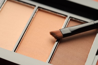 Photo of Beautiful eyeshadow palette and brush as background, closeup