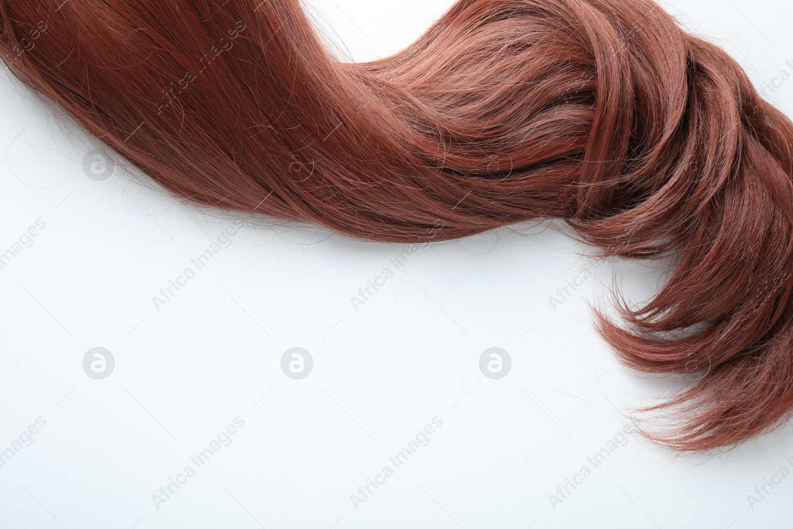 Auburn hair strand on white background, top view. Space for text Photo of Auburn hair strand on white background, top view. Space for text
