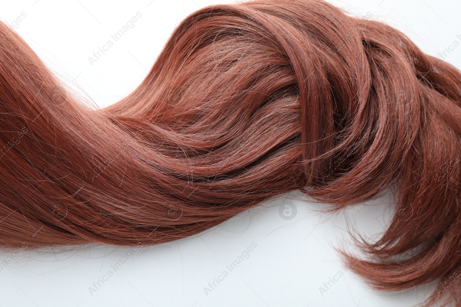Auburn hair strand on white background, top view Photo of Auburn hair strand on white background, top view