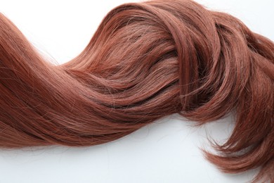 Photo of Auburn hair strand on white background, top view