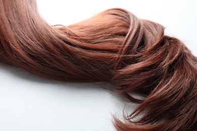 Photo of Auburn hair strand on white background, closeup