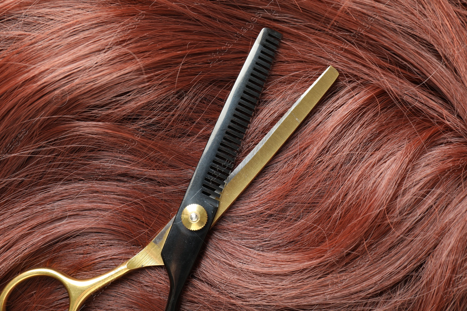 Auburn hair strand and hairdresser's scissors, closeup Photo of Auburn hair strand and hairdresser's scissors, closeup
