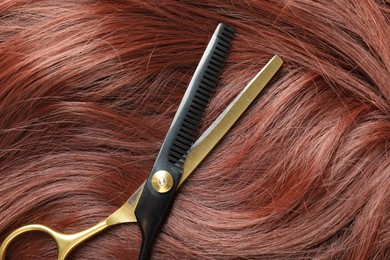 Photo of Auburn hair strand and hairdresser's scissors, closeup