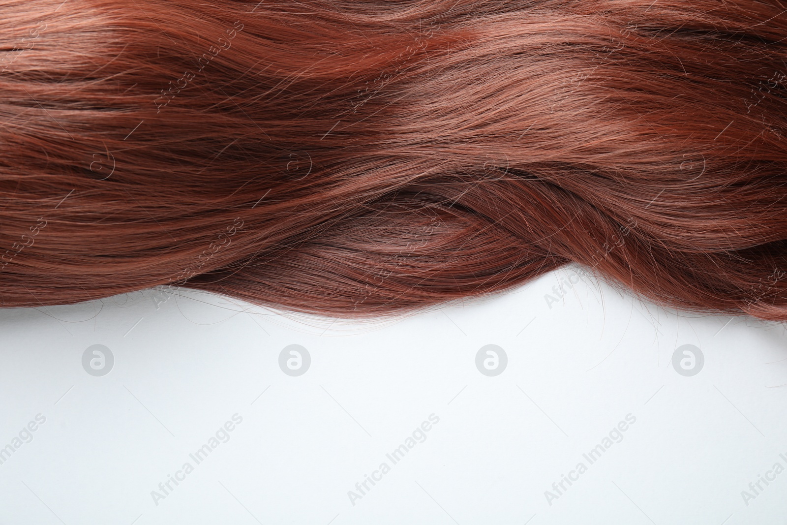 Auburn hair strand on white background, top view. Space for text Photo of Auburn hair strand on white background, top view. Space for text