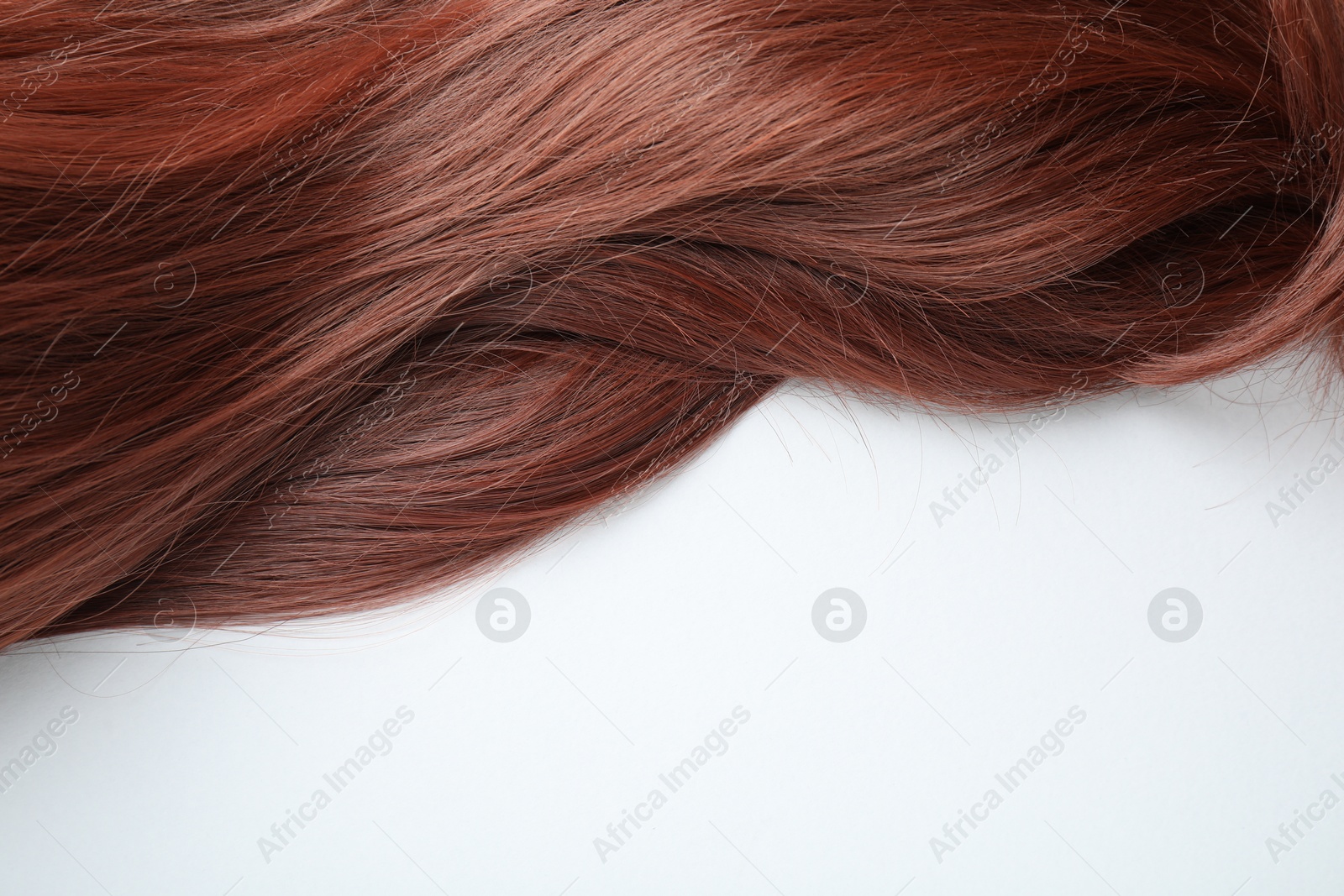 Auburn hair strand on white background, top view. Space for text Photo of Auburn hair strand on white background, top view. Space for text