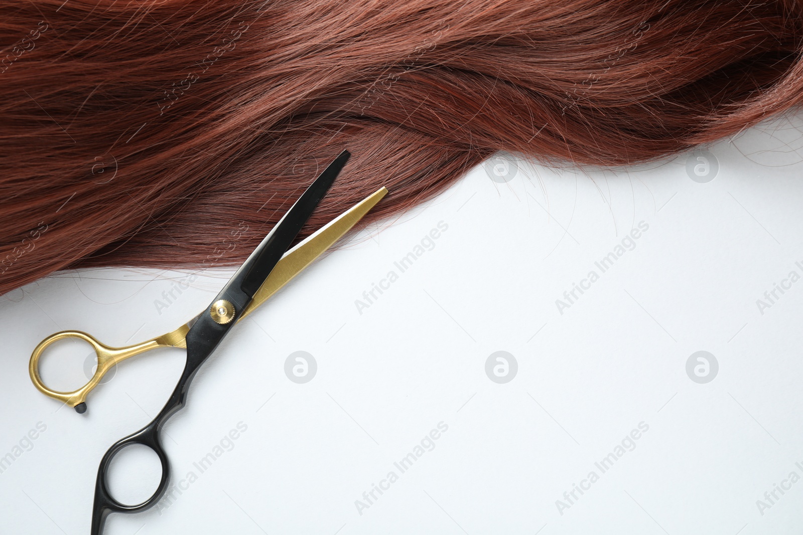 Auburn hair strand and hairdresser's scissors on white background, top view. Space for text Photo of Auburn hair strand and hairdresser's scissors on white background, top view. Space for text