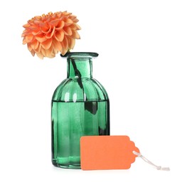 Photo of Blank card and vase with flower isolated on white
