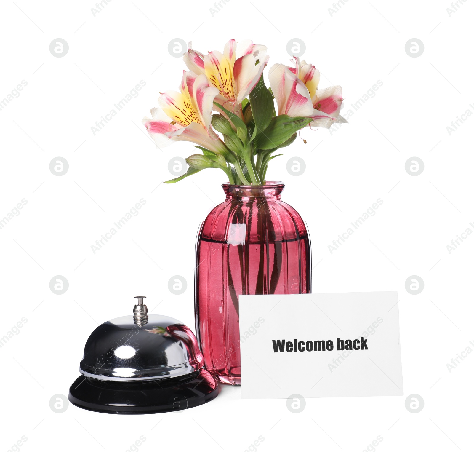 Card with word Welcome, desk bell and vase with flowers isolated on white Photo of Card with word Welcome, desk bell and vase with flowers isolated on white