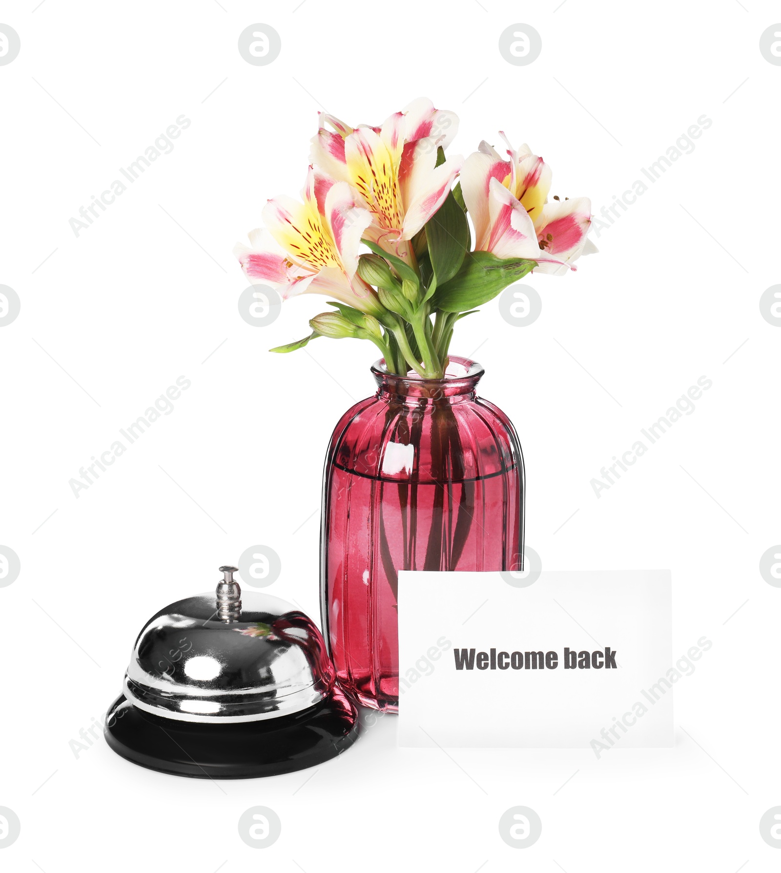 Card with word Welcome, desk bell and vase with flowers isolated on white Photo of Card with word Welcome, desk bell and vase with flowers isolated on white