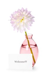 Photo of Card with word Welcome and vase with flower isolated on white