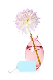 Photo of Blank card and vase with flower isolated on white
