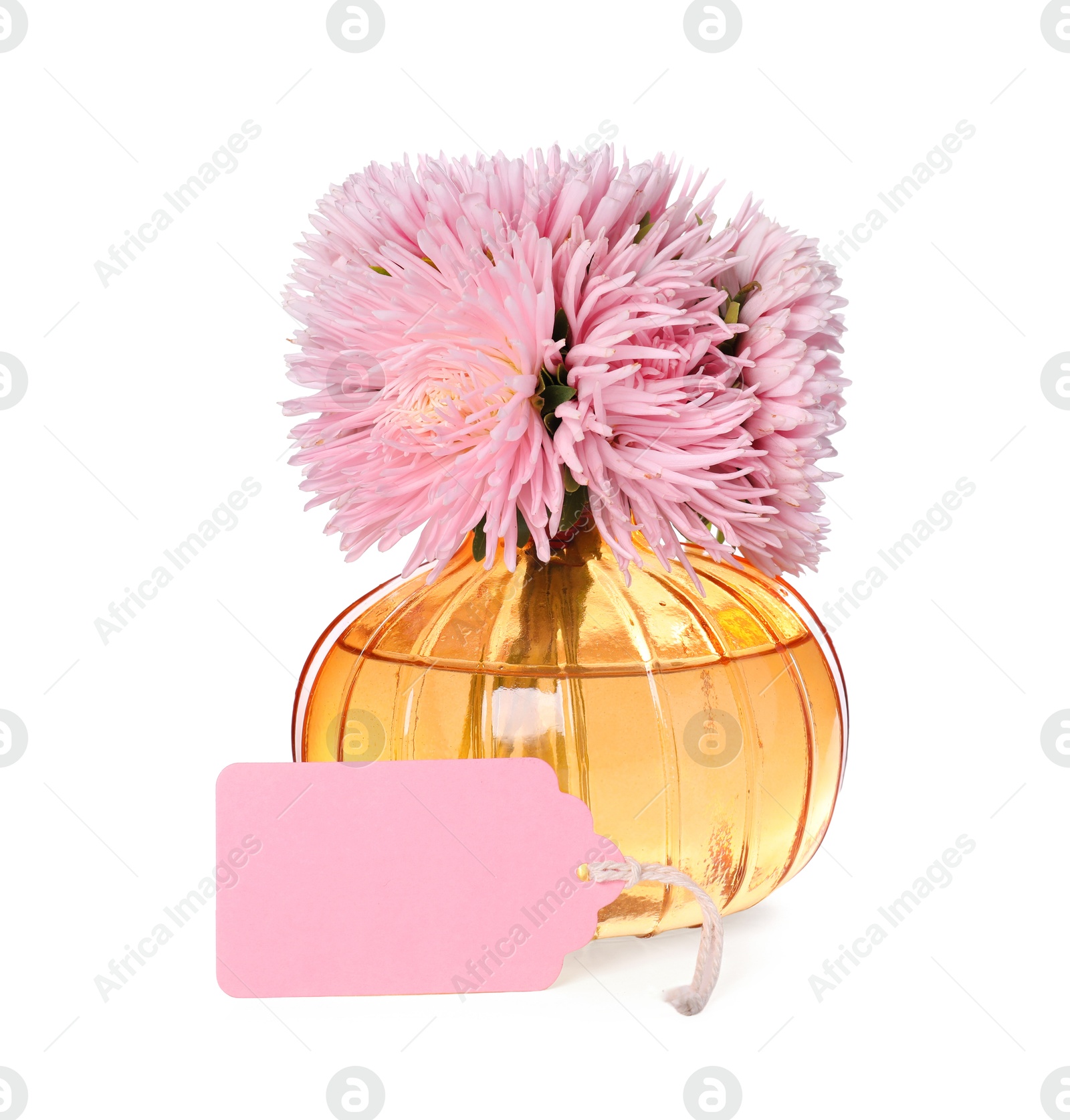 Photo of Blank card and vase with flowers isolated on white