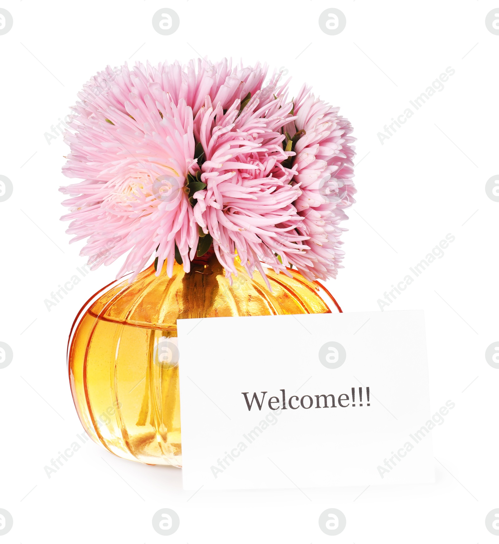 Card with word Welcome and vase with flowers isolated on white Photo of Card with word Welcome and vase with flowers isolated on white