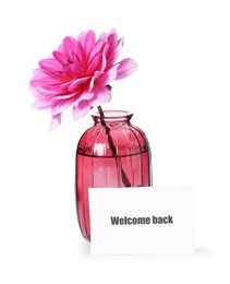 Photo of Card with word Welcome and vase with flower isolated on white