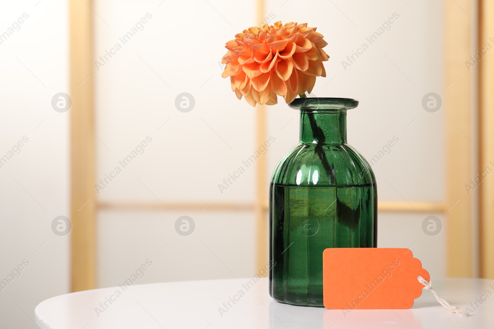 Photo of Blank card and flower on white table indoors. Space for text