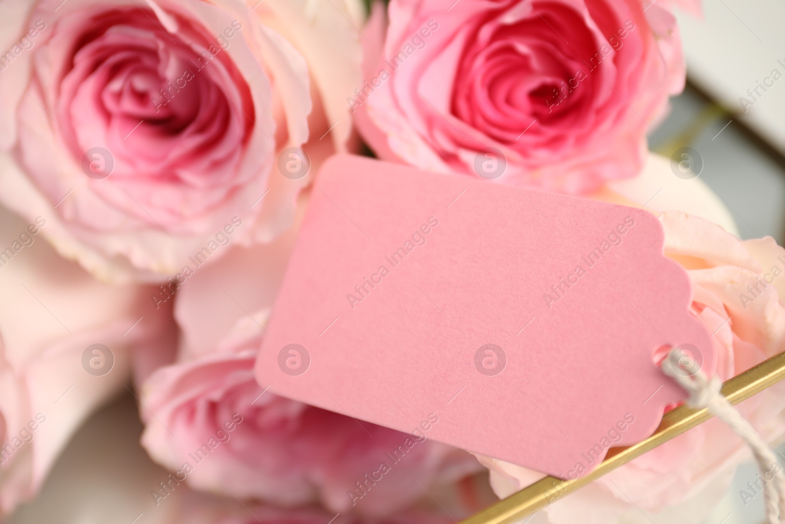 Blank card and roses on table indoors, closeup Photo of Blank card and roses on table indoors, closeup