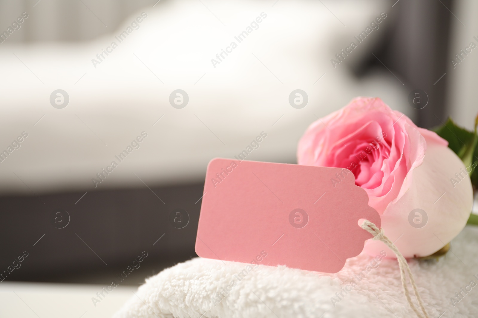 Photo of Blank card and rose on towel indoors, closeup. Space for text
