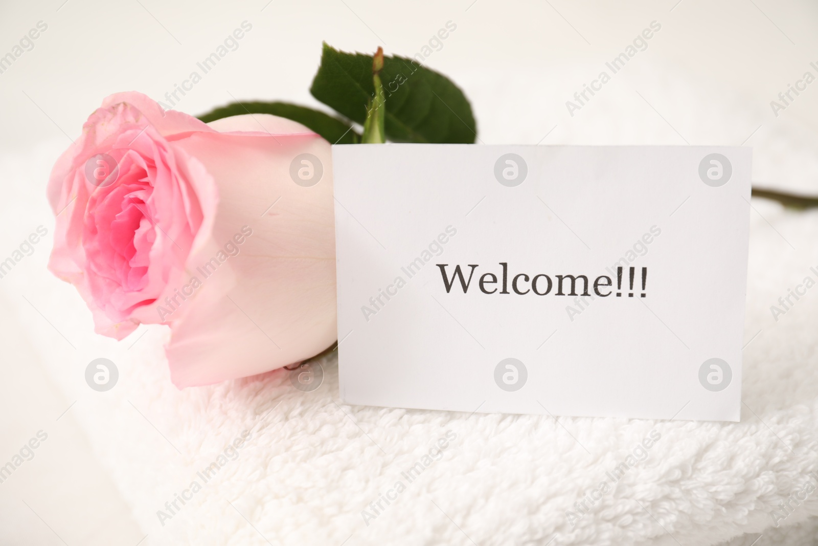 Card with word Welcome, rose and towel on white table, closeup Photo of Card with word Welcome, rose and towel on white table, closeup