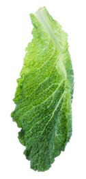 Photo of One fresh Savoy cabbage leaf isolated on white