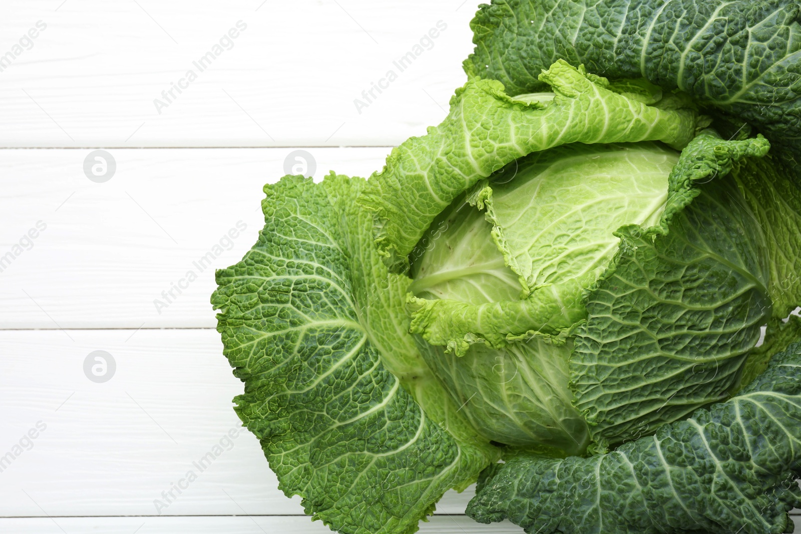 Photo of One fresh Savoy cabbage on white wooden table, top view. Space for text