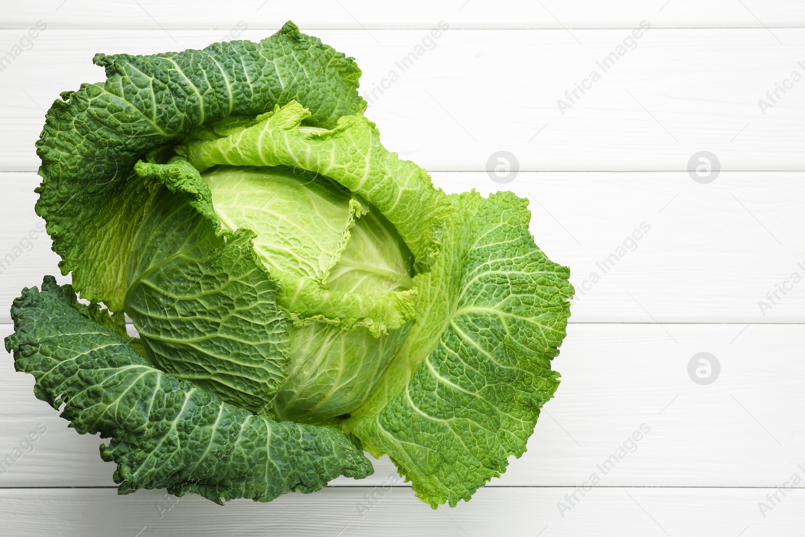 Photo of One fresh Savoy cabbage on white wooden table, top view. Space for text
