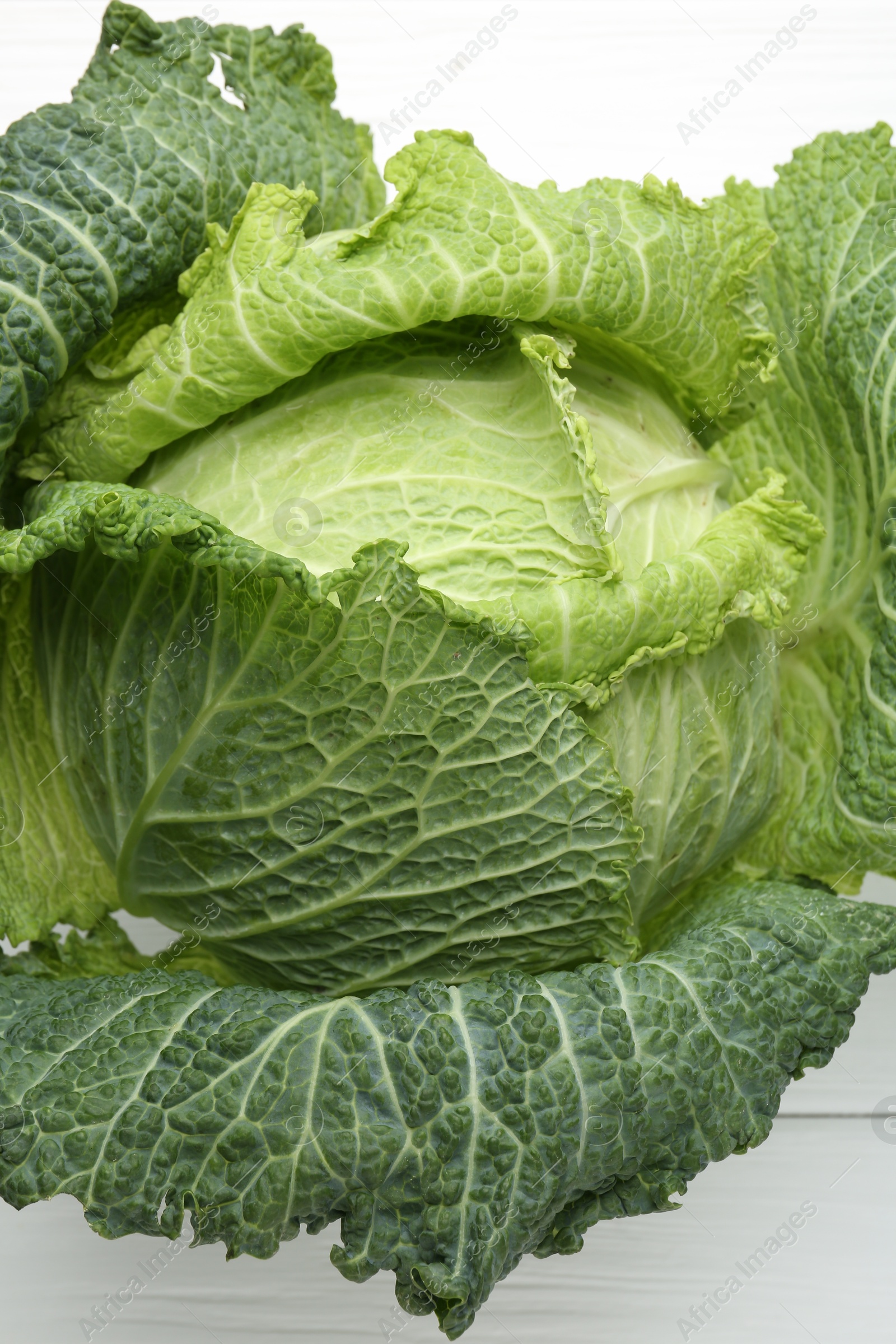 Photo of One fresh Savoy cabbage on white wooden table, top view