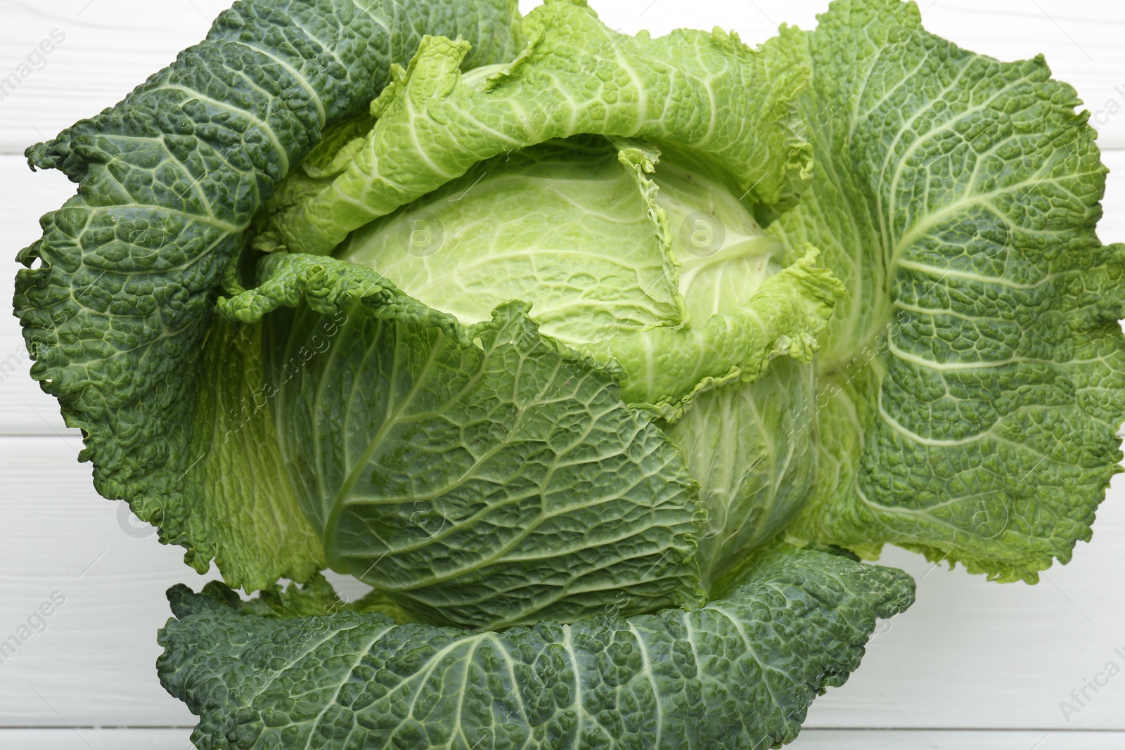 Photo of One fresh Savoy cabbage on white wooden table, top view