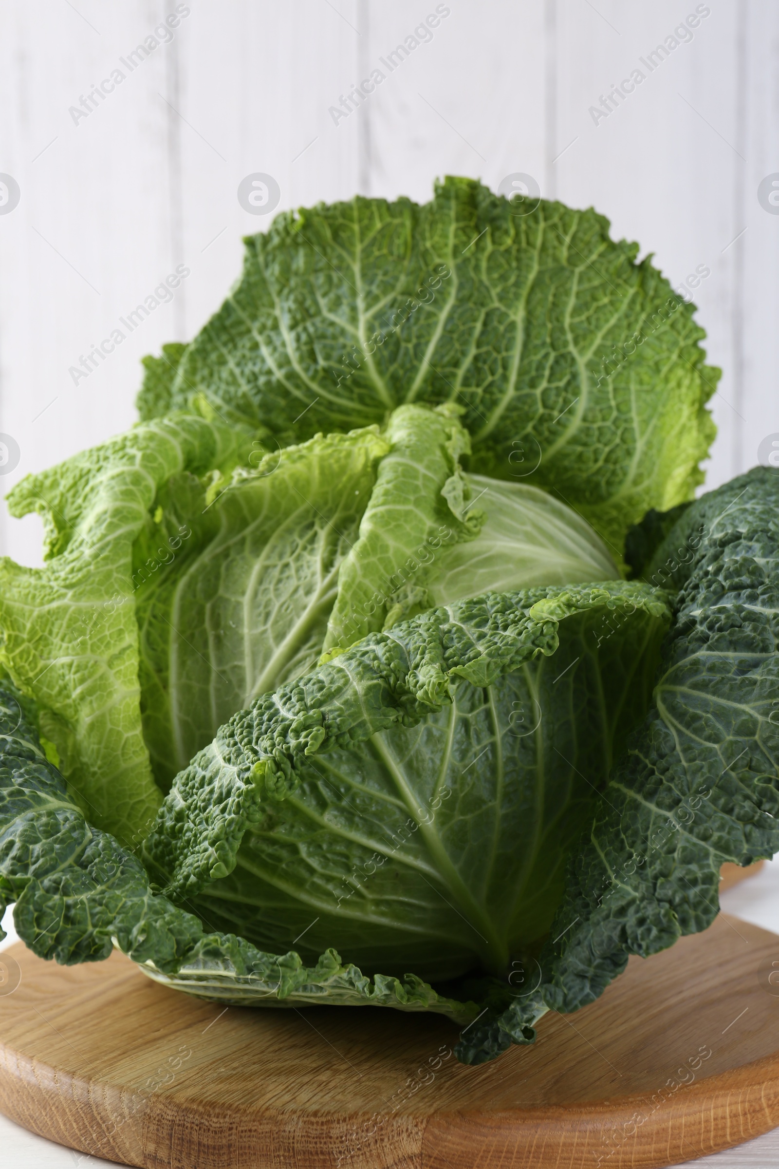 Photo of One fresh Savoy cabbage on white table, closeup