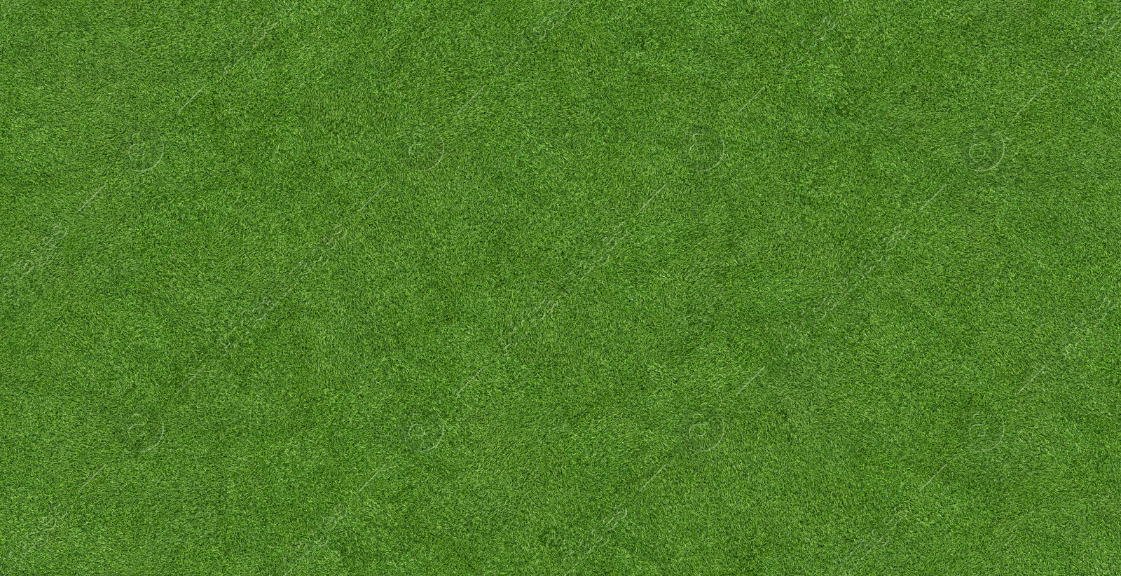 Image of Lush green grass, top view. Banner design