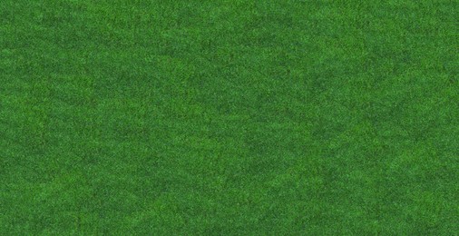 Image of Lush green grass, top view. Banner design